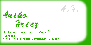 aniko hricz business card